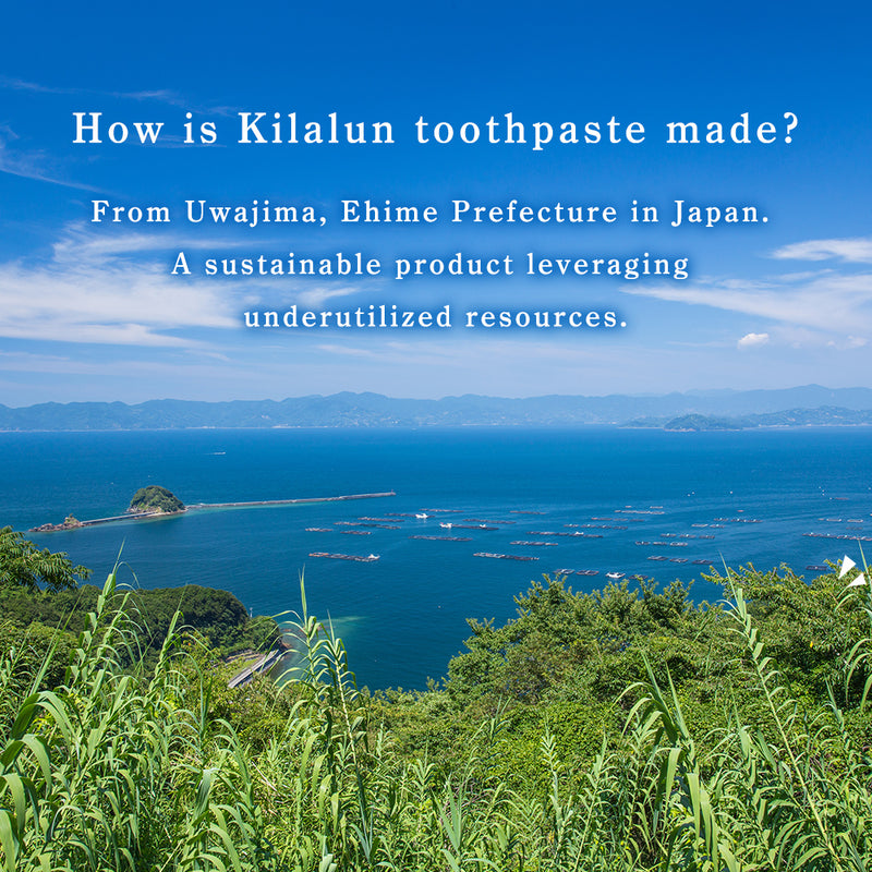 Natural Apatite Toothpaste Kilalun Premium Toothpaste Type